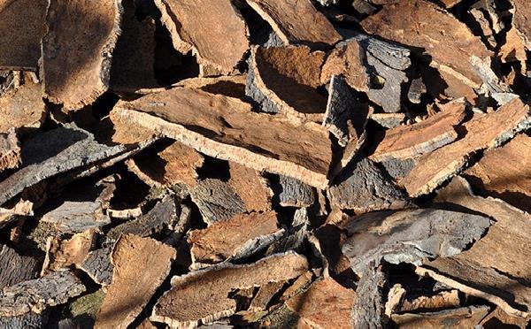CORK-IGLU-NATURAL_88 