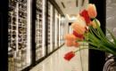 Hotel-Royal-Savoy-Lausanne-05 